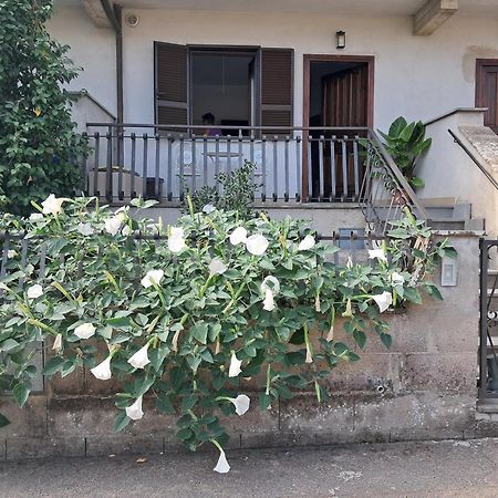 A Casa Ida Daire Bagnoregio Dış mekan fotoğraf